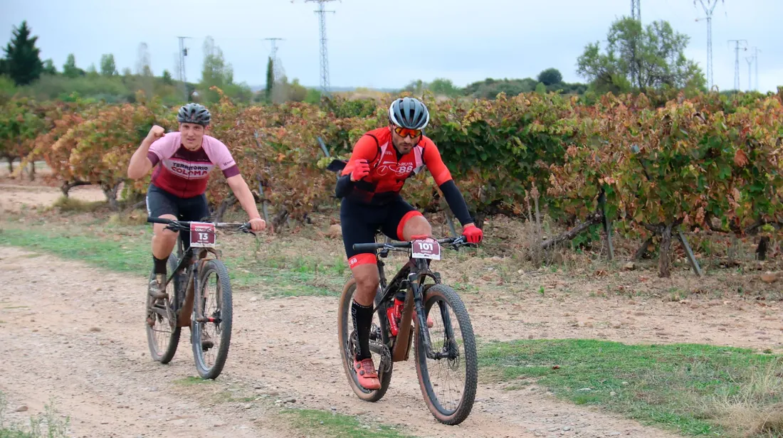 Ciclistas entre viñedos durante Territorio Coloma BTT, fotografía de David Preciado