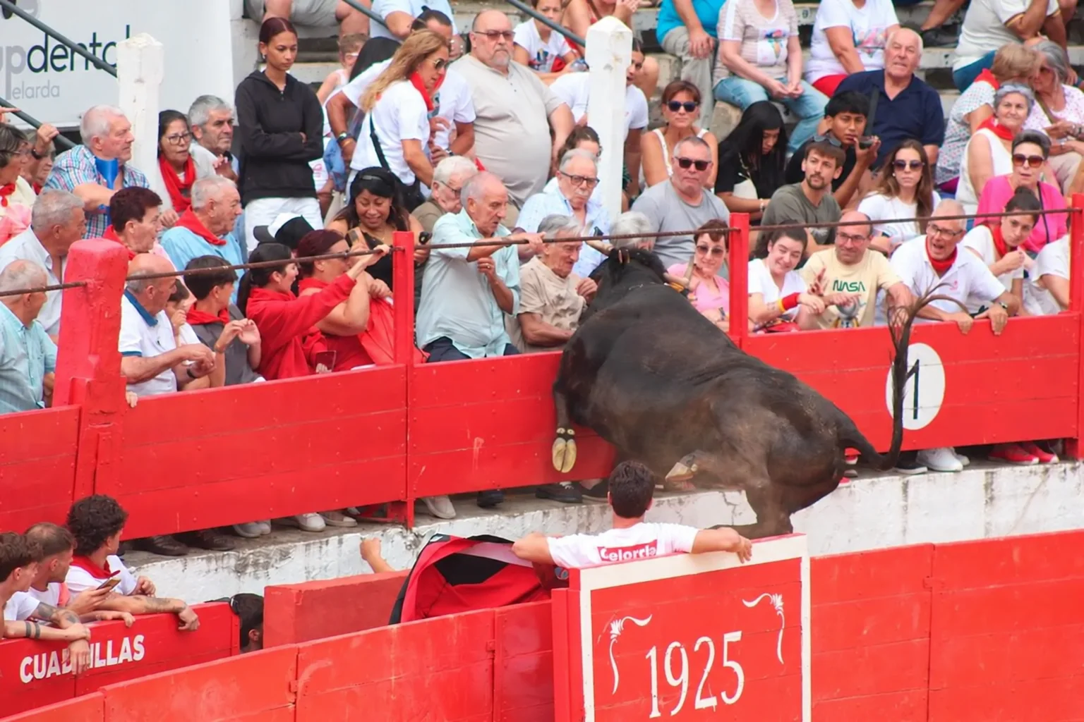 Festejo popular con público en la Ribera